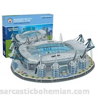 Paul Lamond 3885 Manchester City Fc Etihad Stadium 3D Jigsaw Puzzle B06XCM7YB1